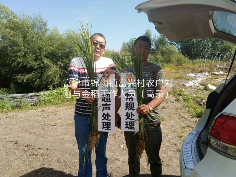 黑龍江雙鴨山市與佳木斯市的超聲波玉米、水稻種植田調查