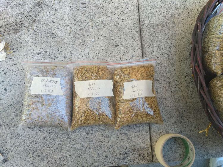 “超聲波處理對(duì)稻谷表面微生物的影響”發(fā)表論文啦??！