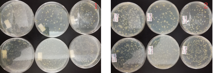 “超聲波處理對稻谷表面微生物的影響”發表論文啦??！