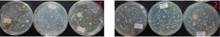 “超聲波處理對稻谷表面微生物的影響”發表論文啦??！