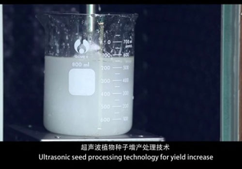 金稻植物種子增產(chǎn)處理機宣傳片